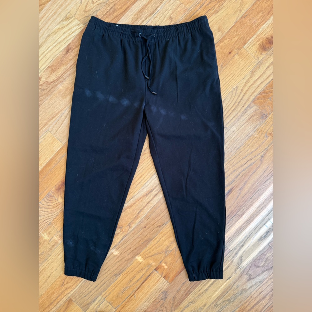 Zara jogger pants